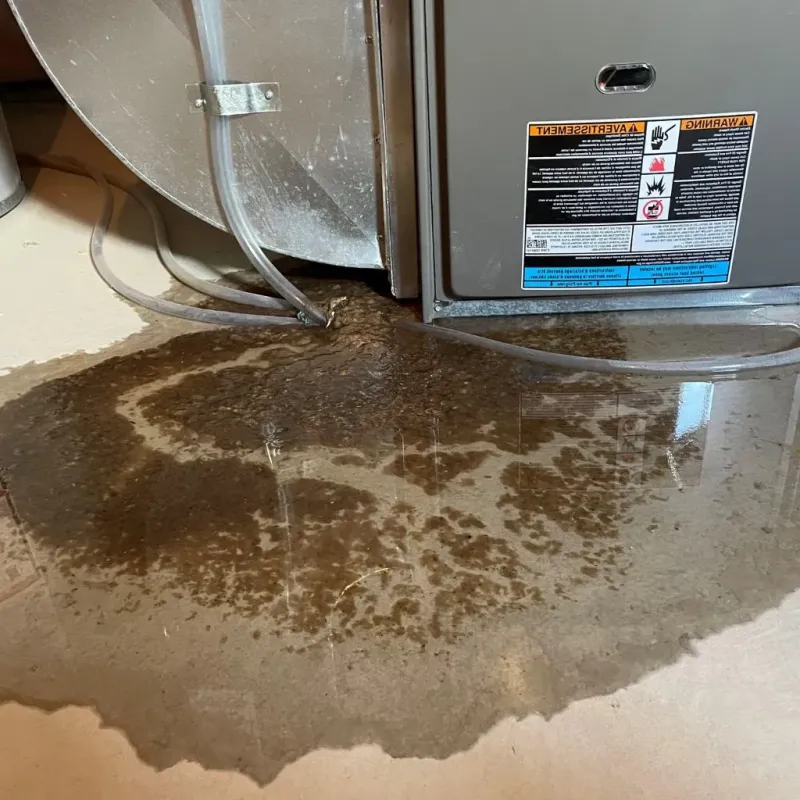 Pipe Burst and Leak Restoration in Lansdowne, PA